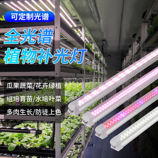 T8�չ��LEDֲ�����L��ȫ���Vˮ���߲��a������Ҵ���o��������