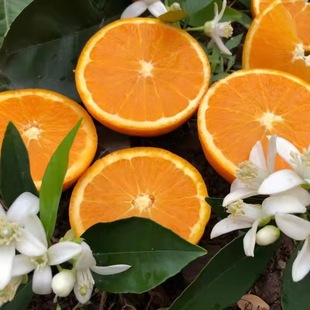 ���������˲����w����Ě�ȑ�������5���b�Fժ�F�l�r�ȷ��M������