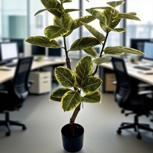 �S��ֱ�N���䰫���S���ŷ��汱�W�L�҃����������b��쾰�[��