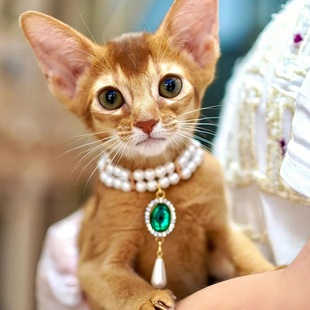 Cross-border Pet Collar Cat Dog Noble Gas Gem Pearl Necklace Double-layer Stacked Devon Siam Jewelry Wholesale