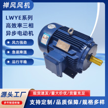 立式卧式国标电机风机电机三相异步电动机微特电机LWYE(YE2)系列