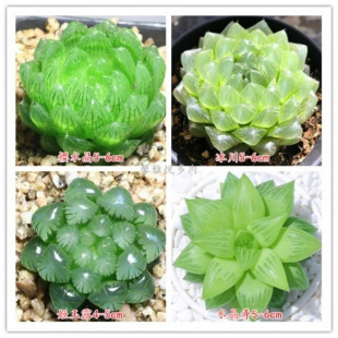 ֲl¶u¶Mϼ¶¶ˮ¶҃B