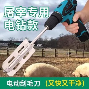 A�¿���ië���ò��P�Óë��ë���׹�ë������荹�ë��