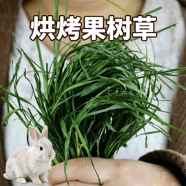 兔子主粮;其他小宠用品;宠物周边用品