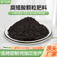 ��ֳ���w���ʏS�����l �����r�I����������ֳ���ЙC�� ��ֳ���w��
