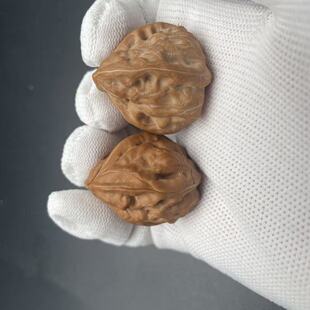 Ԫ��з�Q������� ��Ȼ���� �a��ֱ�� ���l�r�� ֧�֏͙z