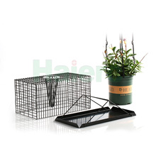 PCO���������D������������׽�\����\HC2602