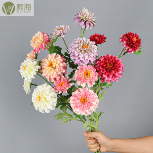 ���滨��֦3�^�����ռҾӾƵ��b���c�����Ĕz�ٻ��廨���޾�
