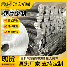 Q~XƬ늟ɢƬƬɢs\Ƭ