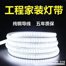 灯带led亮220V灯条工地户外家用防水送插头直接插电三色变光