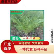 һl ؘ Ȱ  IB  l؛ FڬFl