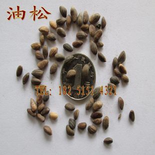 ���l�N�����ɷN�� ���~�ɡ����~�Rβ�ɡ��tƤ�ɡ��|�����ɷN��