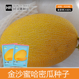 �S�����l���ܹϷN�ӽ�ɳ���½��SƤ�W�y��Ƥ��ϷN�ѳ���ˮ���N��