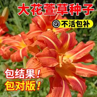 ����ݷN�Ӷ��������Ի��N�����޸�������������S����ݻ��N��