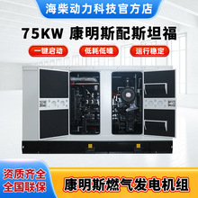 ����Դ�^�S���N��75KW����˹���Ͱl늙C�M��˹̹���o����ȼ��C�M