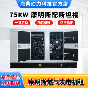 75KW����˹���Ͱl늙C�M ˹̹���o���� ����Դ�^�S��