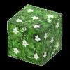 170-flower