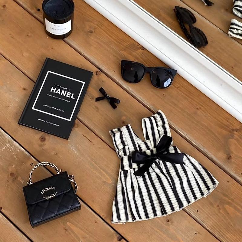 Summer Pet Dog Dog Clothes Summer Thin Princess Style Striped Skirt Teddy Bears Bome Small Puppies