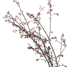 鲜花花艺制品;干花;仿真绿植