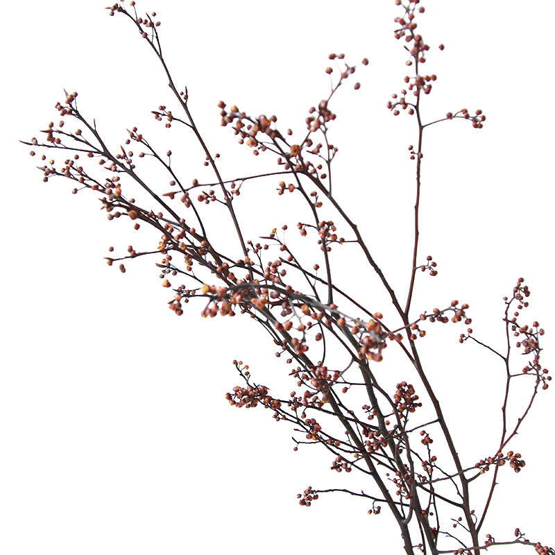 Rhapsody New Year's Eve Eternal Flower Lamp Stand Branch Zen Style High-End Wabi-Sabi Living Room Decoration Dried Flowers Dried Branches