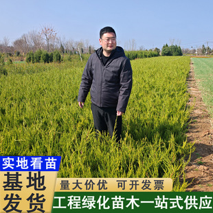 ���ؾG�h���l �������ͺ��������ؘ���Nֲ�ɻ�� �G����ľ����