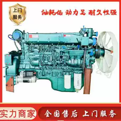 Shaanxi Ağır Yük Maşını Weichai WD615.47 Dizel Mühərriki İxracı