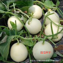 �������������Ͻ�ϴ�������ˮ�����Ӵ�ȫ������̱�ʯ