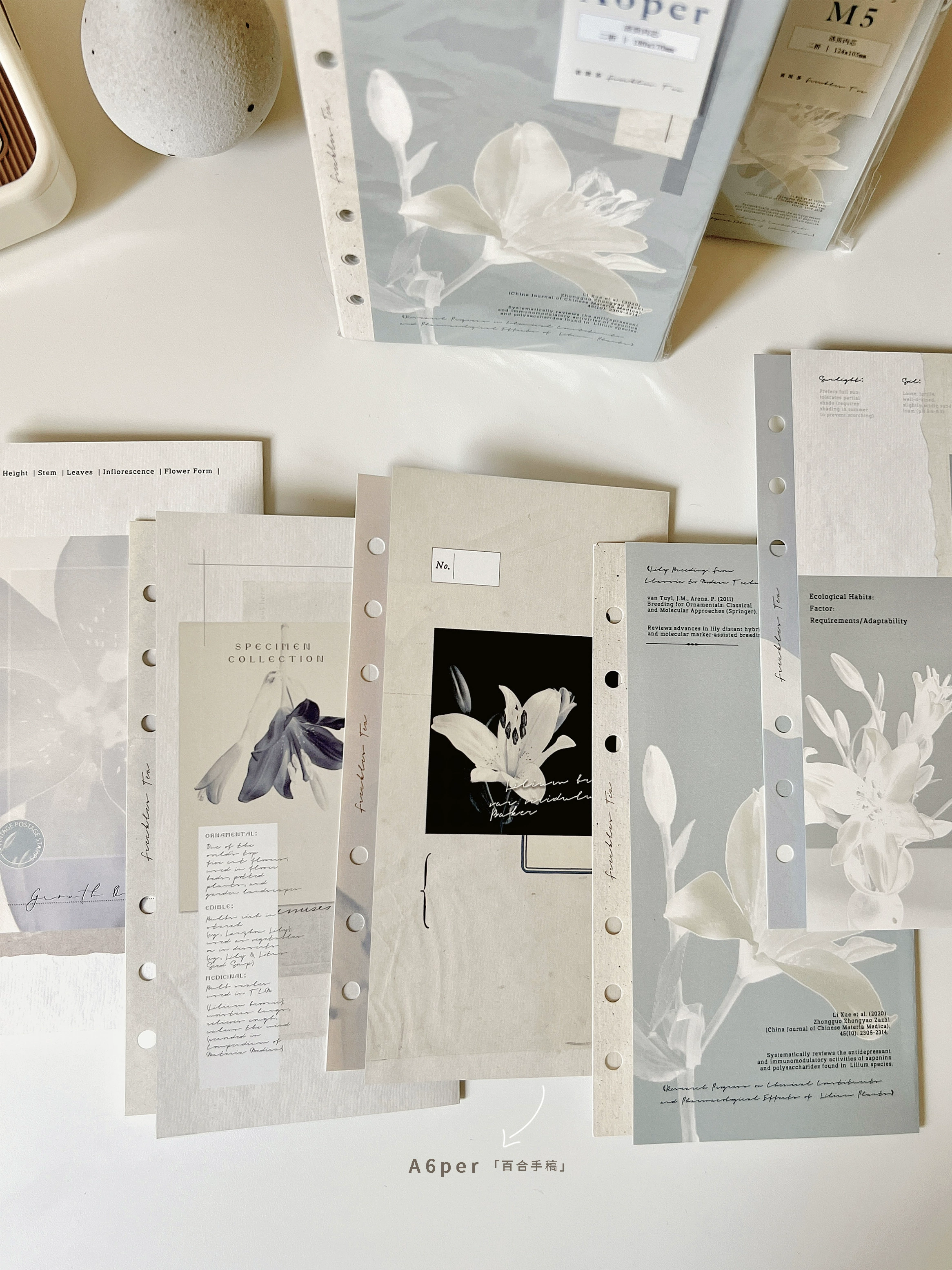 Готовые запасы Daily Season <Lily Manuscript> Веснушки чай Новой продукции оригинал M6 Свободная страница внутри