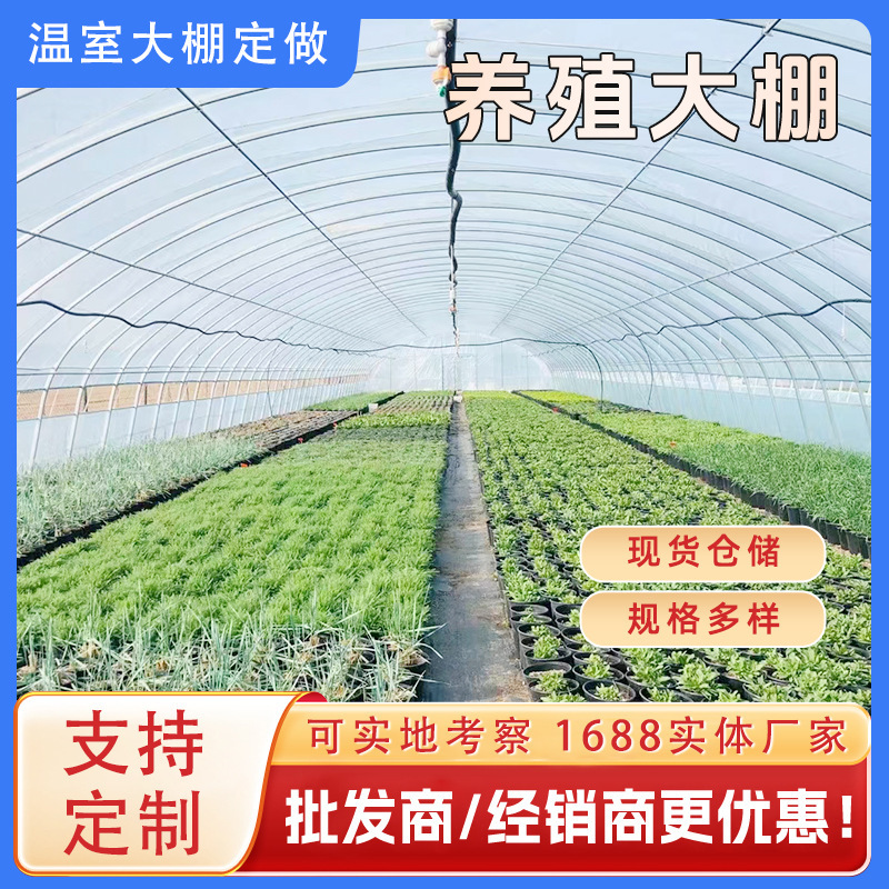 Q235B Greenhouse Frame Pipe for Vegetable Cultivation, Ginger Planting Shed, Oval Steel Pipe, Galvanized Pipe, Plant Multi-Span Structure Q235B Greenhouse Frame Pipe for Vegetable Cultivation, Ginger Planting Shed, Oval Steel Pipe, Galvanized Pipe, Plant Multi-Span Structure