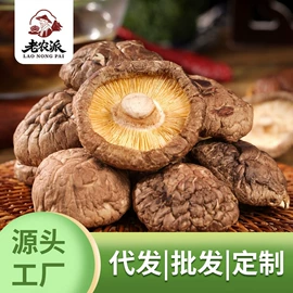 莲子;百合;莲子类