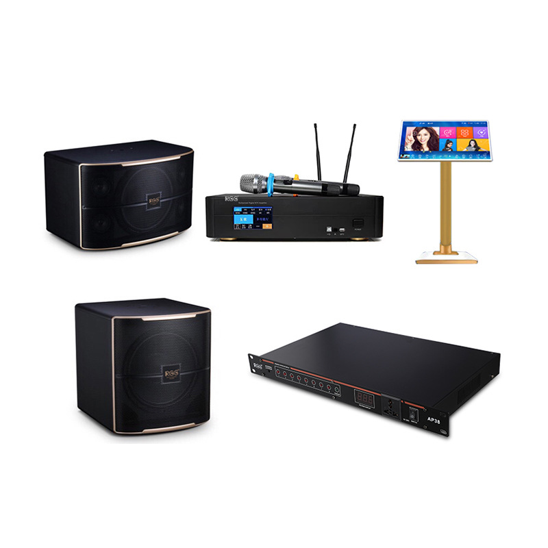 10-pulgadas de 12 pulgadas de audio KTV titular de la tarjeta de Casa de karaoke de audio para el hogar equipo de audio juego de altavoces conjunto Al Por Mayor