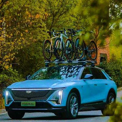 Roof Bike Rack Luggage: Car bike rack