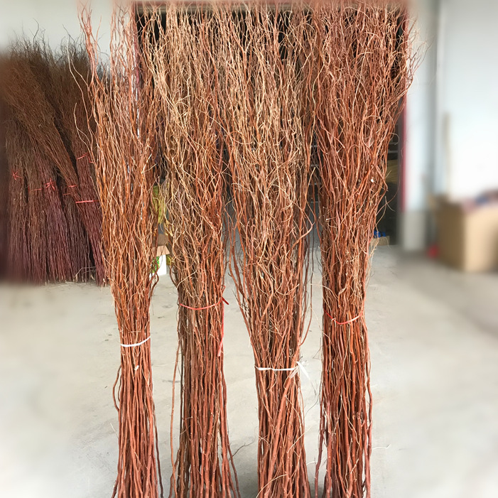 天然龙柳干枝曲柳树枝龙桑玄关隔断橱窗落地装饰干花婚庆拱门