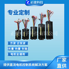 ����늄�܇����48V60V72V84V����݆늙Cȫ�ƿ܇�������Ħ�ӏ���