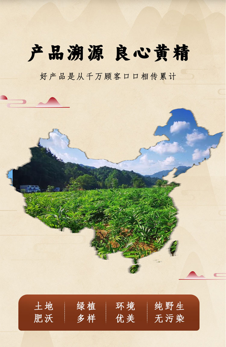 Huang Jing Fruit (Polygonatum sibiricum) — Freeze-Dried Food Herb, 120g Individually Packed quality and texture