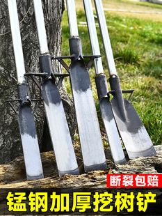 �ژ��P����P�F�@�i��ڿ��ڜ϶������������@�ڹS����