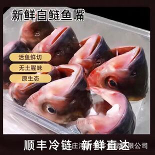 ���ۻ��~���l�|�����~����~�F�����r�~������ʳ�����ô��l