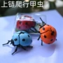 儿童爬行跨境仿真甲虫
