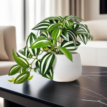 ���R�d����ֲ��С�G�~�辰����С�����҃ȼҾ��bG�~�羳���l