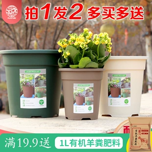 Product Media