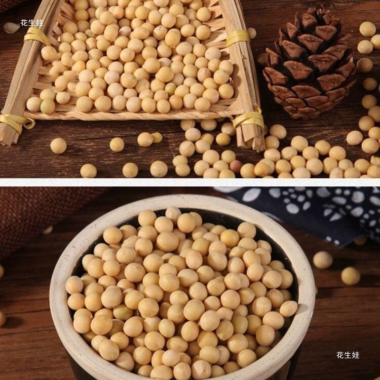 东北农家黄豆1000g新货黄豆颗粒饱满 黄豆打豆浆黄豆多规|undefined