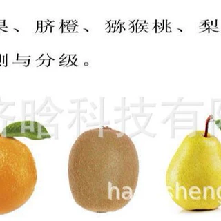 圣女果分级机,李子分选机,杏子分拣机,荔枝选果机,冬枣筛选机