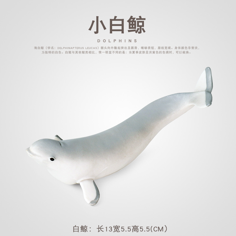 仿真海洋動物玩具深海海底生物世界模型鯊魚白鯨兒童擺件寶寶認知