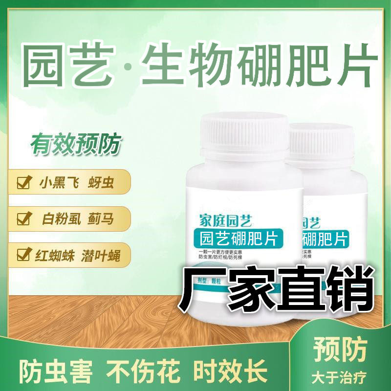 园艺防虫片 植物通用蚜虫小黑飞多肉蚧壳虫红蜘蛛花卉 糖化硼肥片