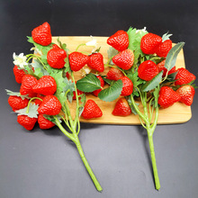 ?��ݮģ�� �ٲ�ݮ��֦��ˮ����ֲ֦��b�֦�����b�