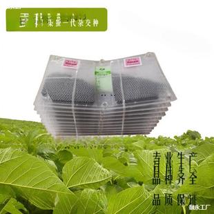 ���r����B�Q�N�Q���Q�����Q�N�����a�߮a���������N�������Ӄr