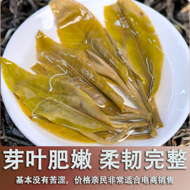 운남 브랑산 보이차 생차 잎차 업소용 대용량
