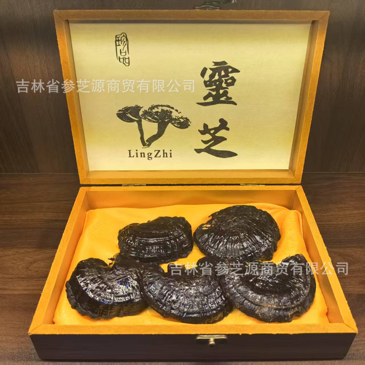 东北特产 长白山灵芝礼盒紫灵芝煲汤泡酒过节送礼厂家批发直播会