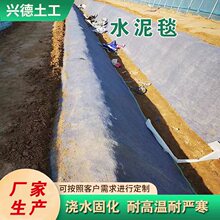 浇水固化水泥毯  用于排水沟护坡 矿山护坡 鱼塘护坡 高速路护坡