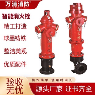 Wanxiao Fire DN100 Intelligent Hydrant SSZN100 Remote Flow Monitoring Anti-theft Outdoor Intelligent Fire Hydrant